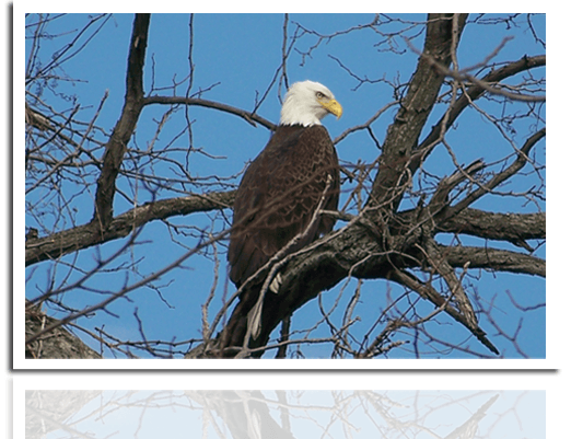 Winner Announced in the Superintendent Photo Contest