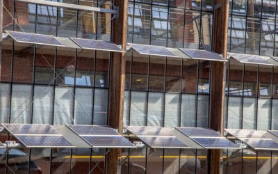 Going Green: 7 Green Building Design Options That Can Save Energy Costs